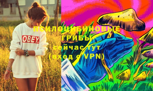 кокс Богородицк